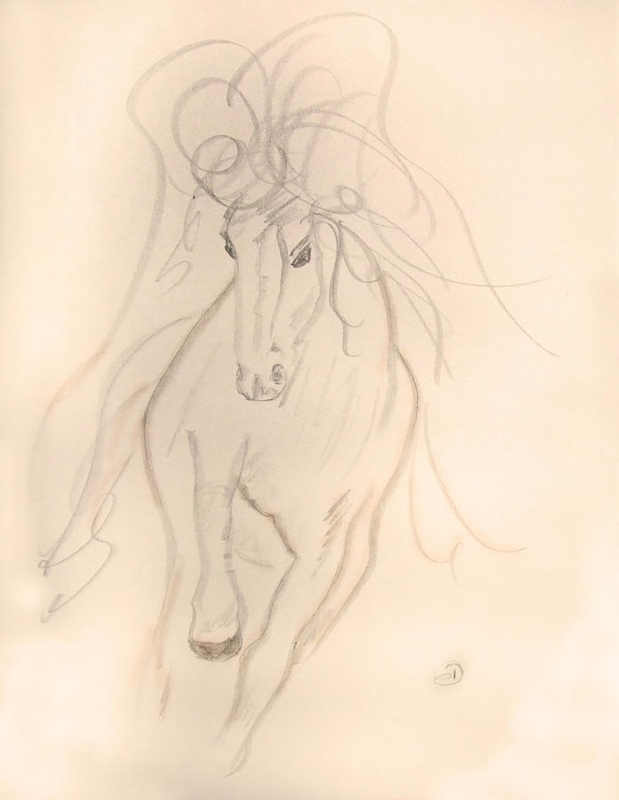 Horse Drawing - Freedom to Run by Donna Blackhall