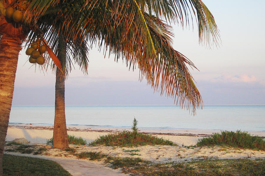 Freeport Grand Bahama Island Photograph by Faith Waite - Fine Art America