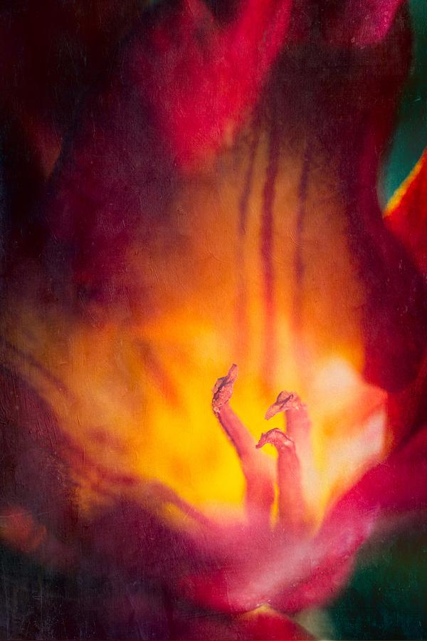 Freesia Flower - Inner Flame Art Photograph by Priya Ghose