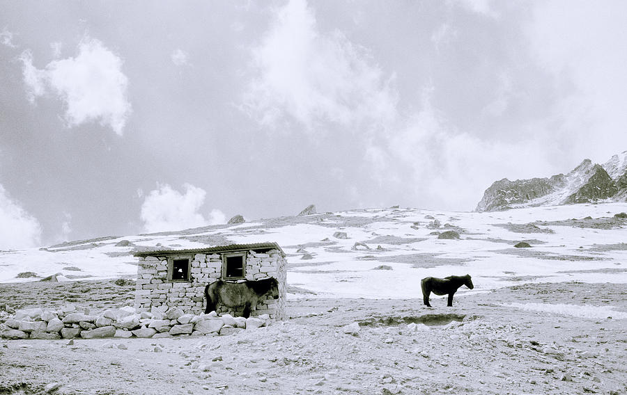 Life In The Mountains In The Himalaya Photograph by Shaun Higson