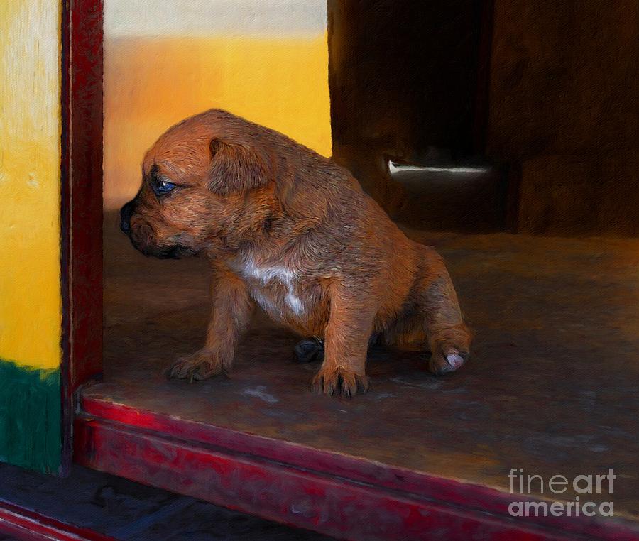 Freight Train Pup Photograph by John  Kolenberg