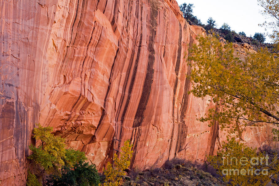 Fremont River Cliffs Capitol Reef National Park Photograph by Fred Stearns