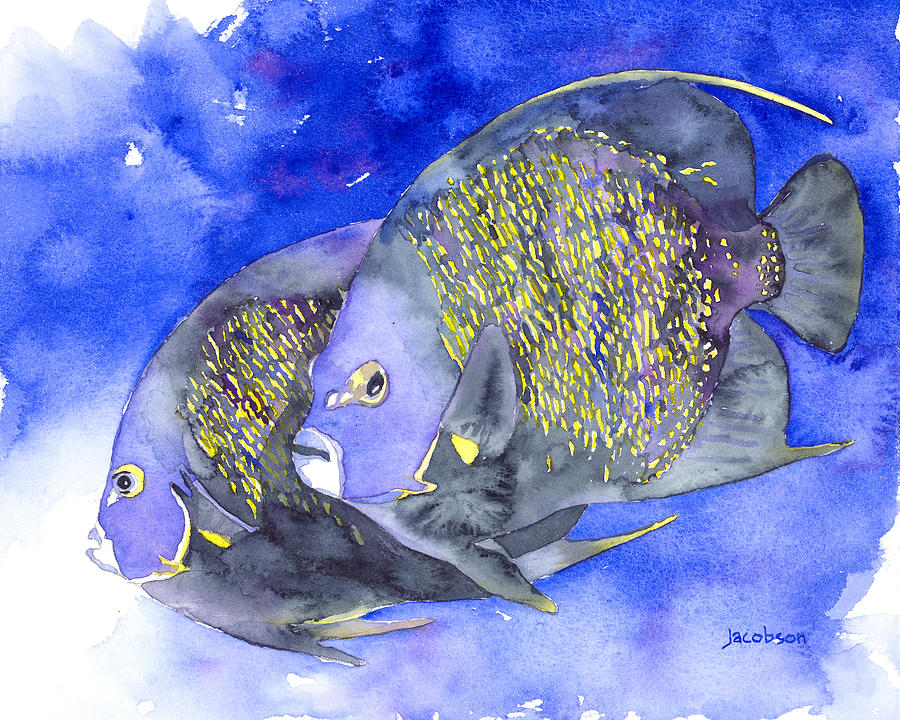 French Angelfish Painting by Pauline Walsh Jacobson