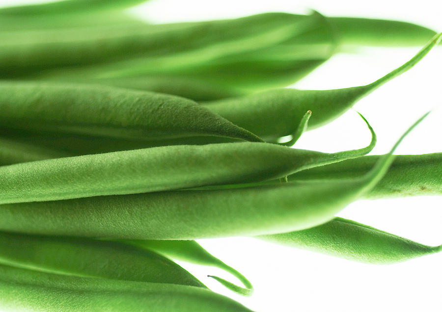 Vegetable Photograph - French Beans by Uk Crown Copyright Courtesy Of Fera/science Photo Library