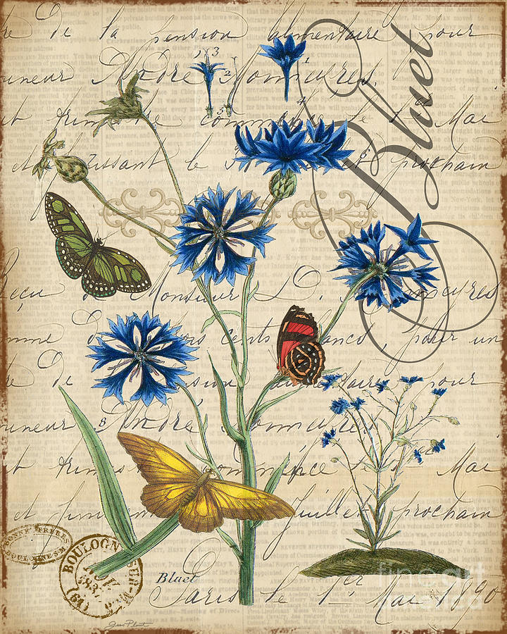 French Botanical-Bluet Mixed Media by Jean Plout