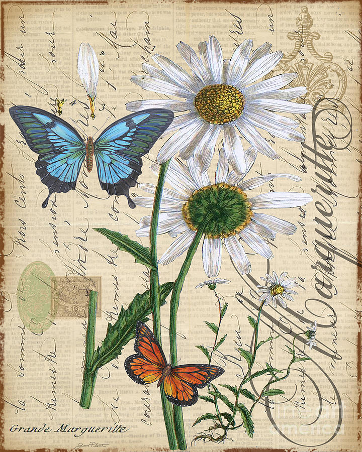 Butterfly Mixed Media - French Botanical-Marqueritte by Jean Plout