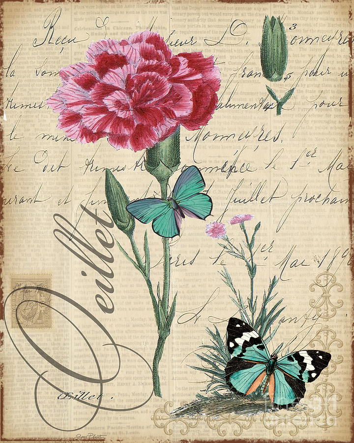 French Botanical-Oeillet Mixed Media by Jean Plout