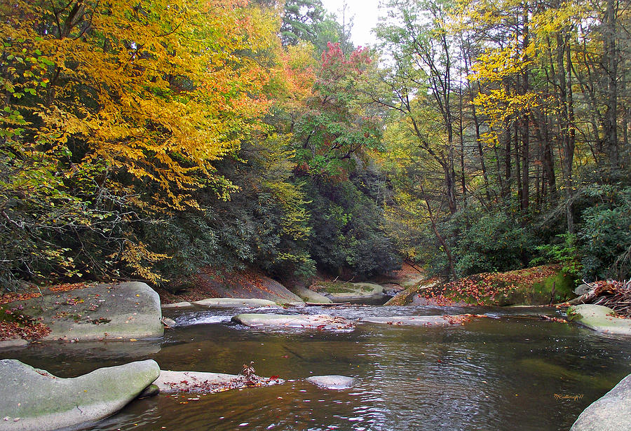 French Broad River in Fall Photograph by Duane McCullough
