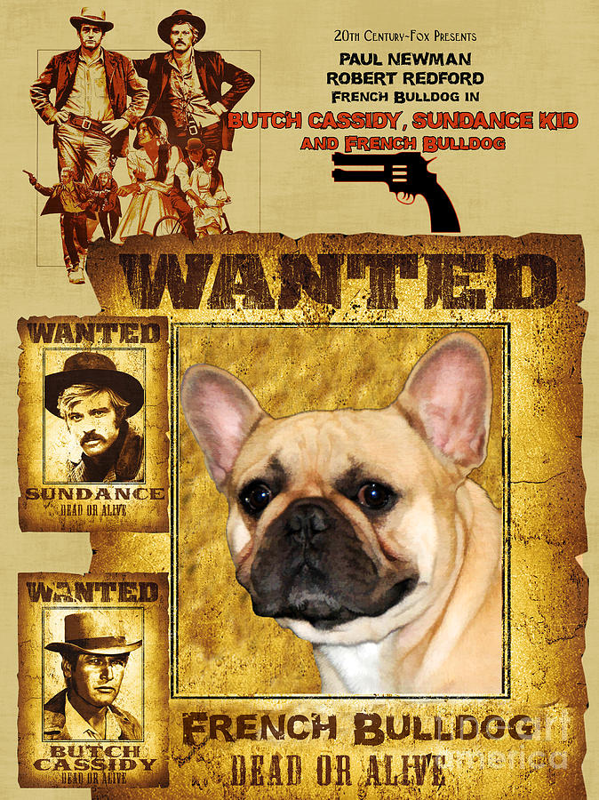 French Bulldog Art Canvas Print - Butch Cassidy and the Sundance Kid Movie Poster Painting by Sandra Sij