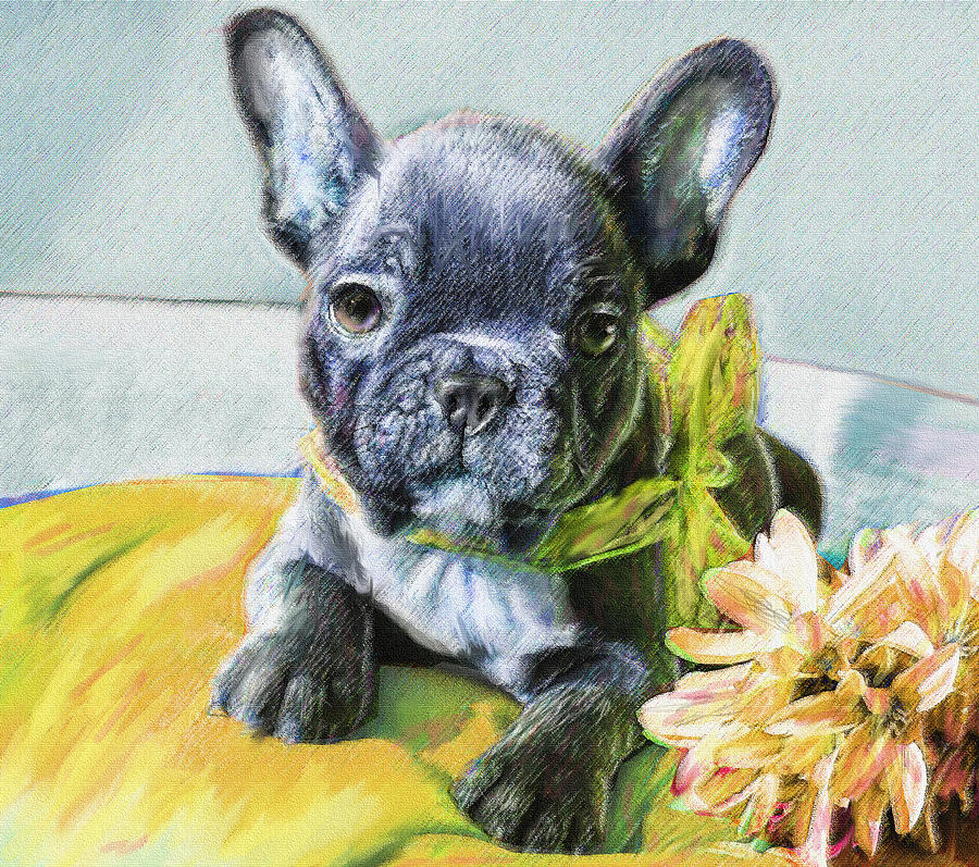 French Bulldog Puppy Digital Art by Jane Schnetlage