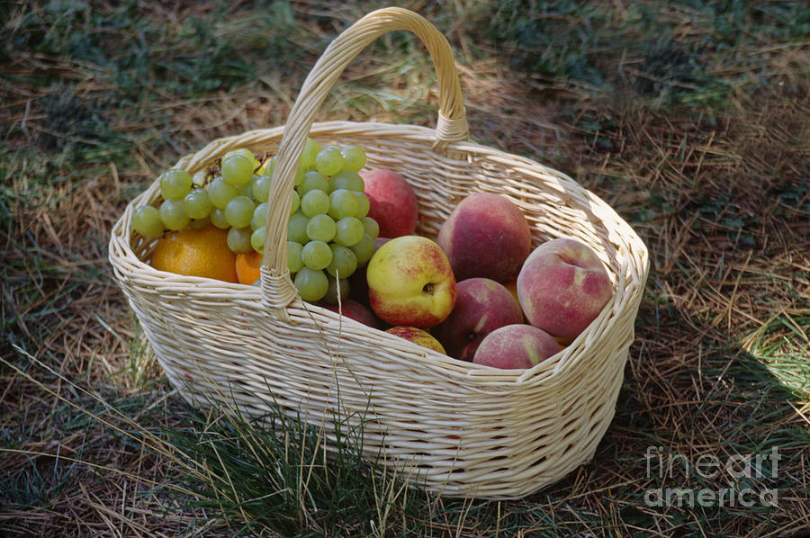 French Fruit Basket Photograph by Craig Lovell
