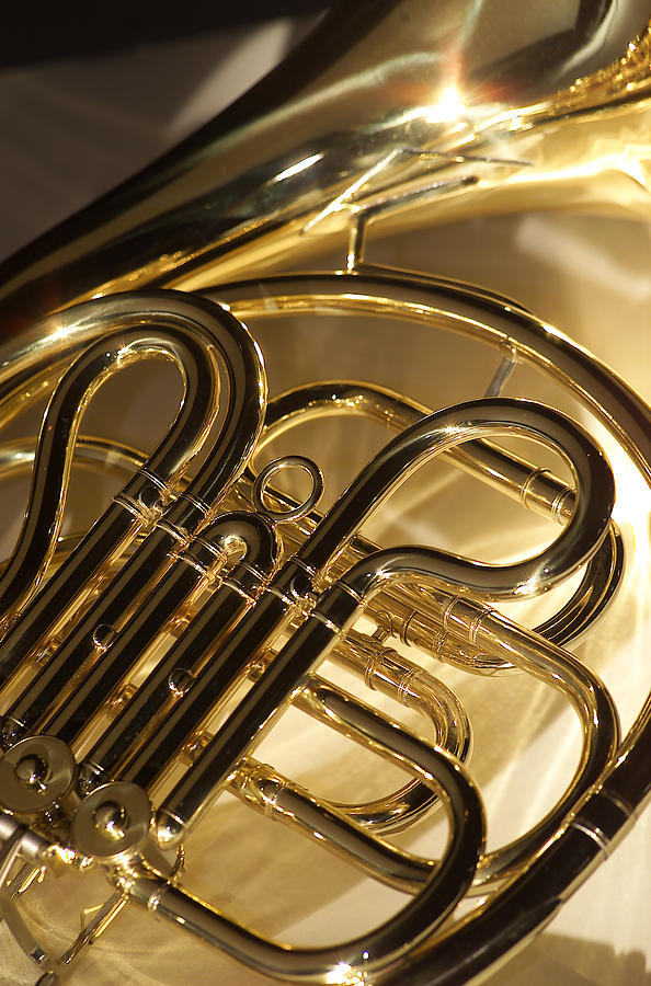 French Horn I Photograph by Jon Neidert