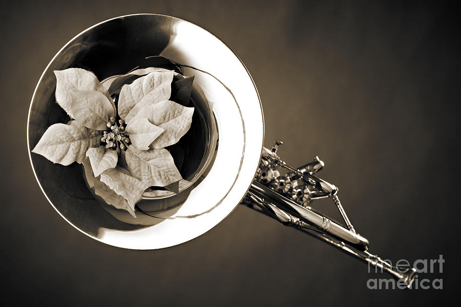 French Horn and Flower Photograph in sepia 3434.01 Photograph by M K Miller