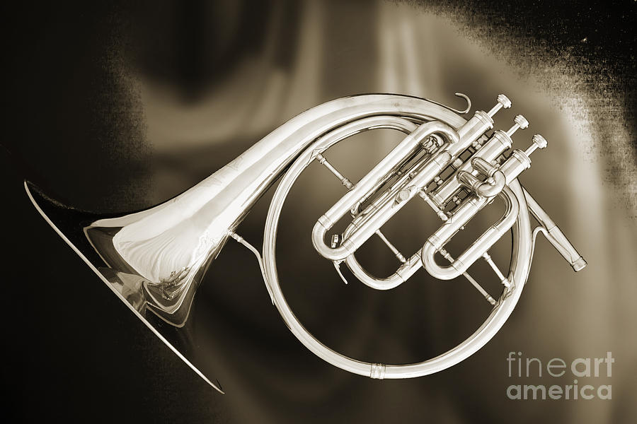 French Horn Antique Classic in a Sepia Print 3210.01 Photograph by M K Miller