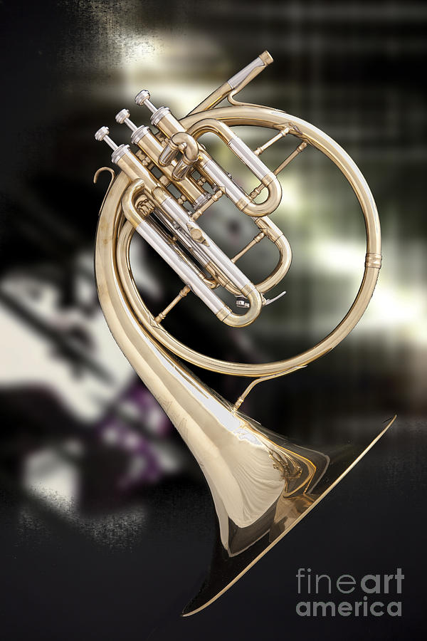 French Horn Antique Classic Photograph in Color 3427.02 Photograph by M K Miller