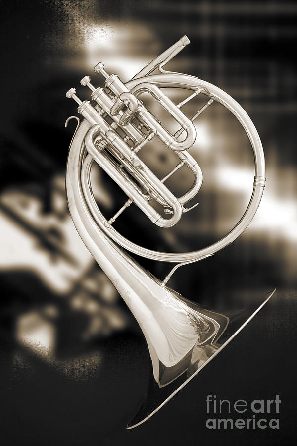 French Horn Antique Classic Photograph in Sepia 3427.01 Photograph by M K Miller