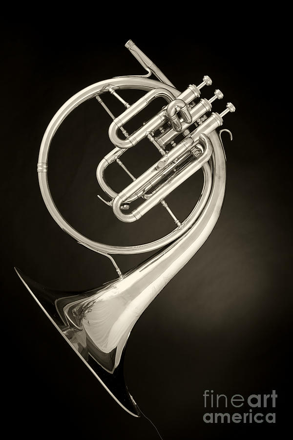 French Horn Antique Classic Photograph in Sepia 3431.01 Photograph by M K Miller