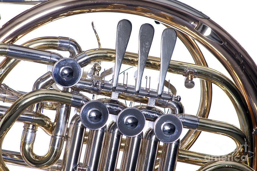 French Horn Rotors Classic Photograph in Color 3438.02 Photograph by M K Miller