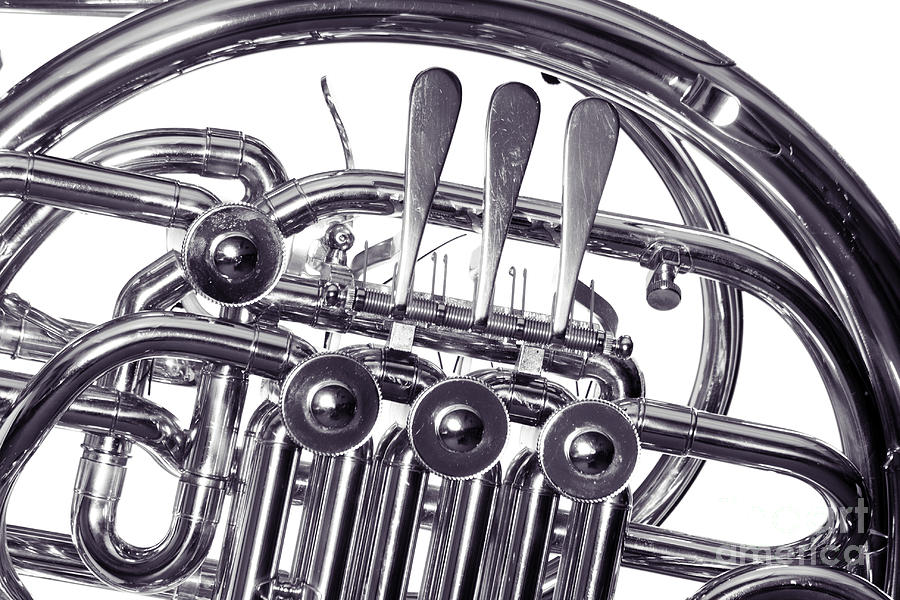 French Horn Rotors Classic Photograph in sepia 3438.01 Photograph by M K Miller