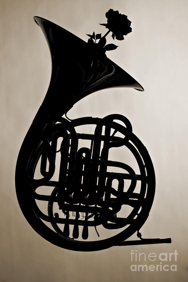 French Horn Silhouette Photograph in Sepia 3432.01 Photograph by M K Miller