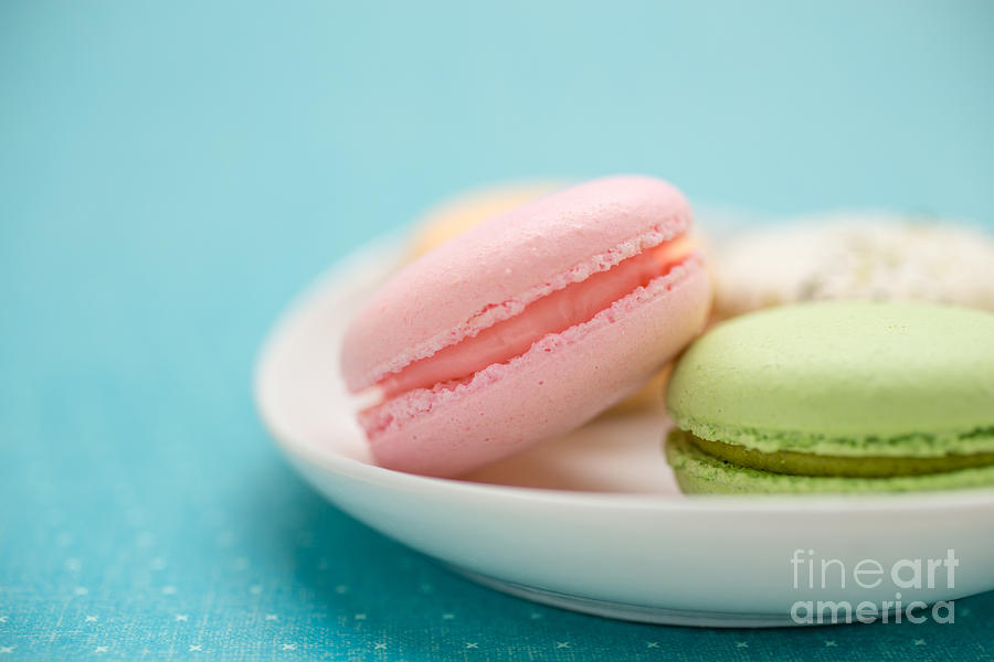 Cookie Photograph - French Macaron Cookies by Edward Fielding