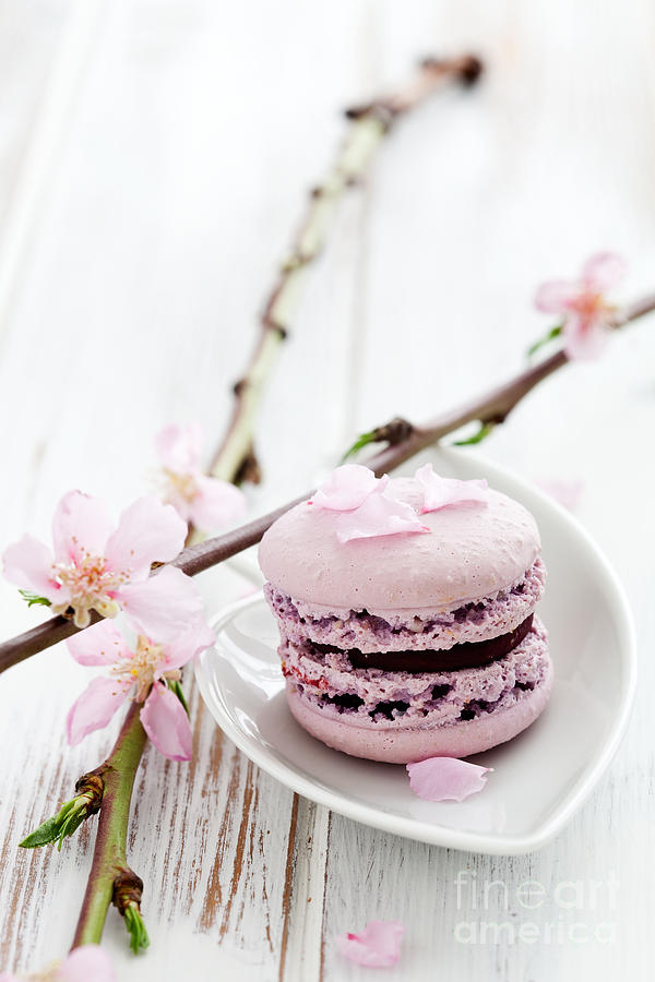 Cake Photograph - French macaroons by Kati Finell