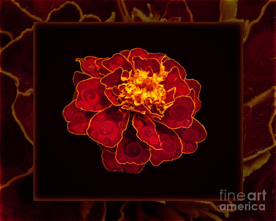 French Marigold Abstract Flower Art Painting by Omaste Witkowski
