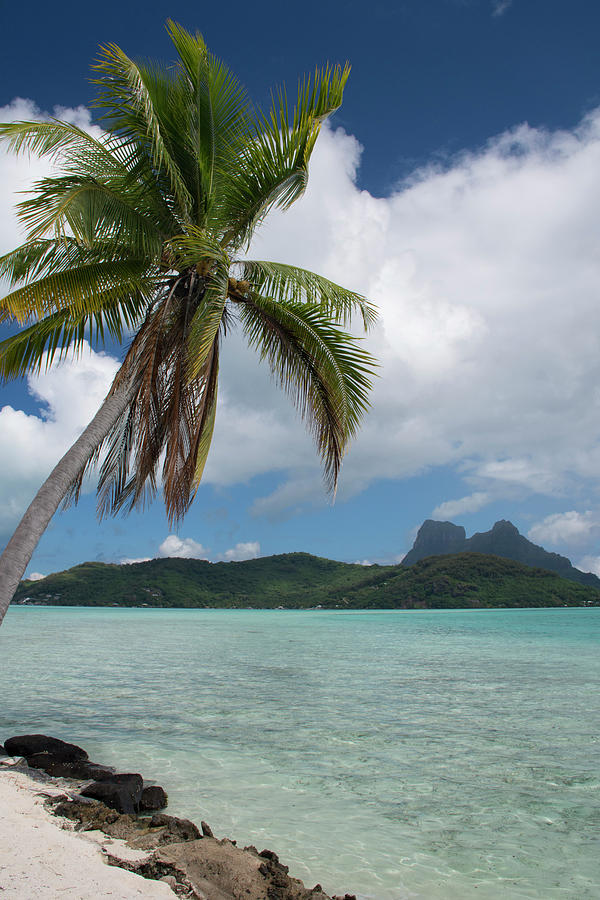 French Polynesia, Society Islands Photograph by Cindy Miller Hopkins ...