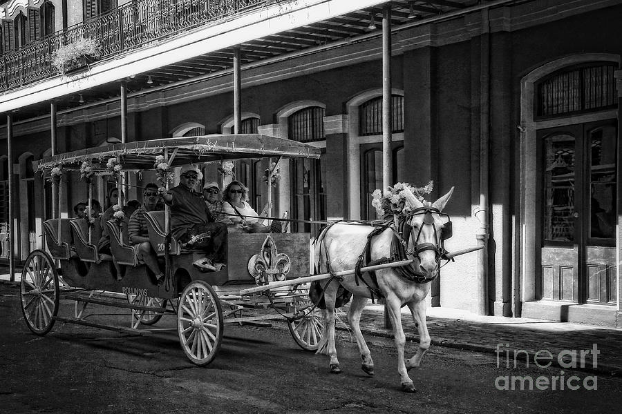 French Quarter Carriage Ride New Orleans Photograph