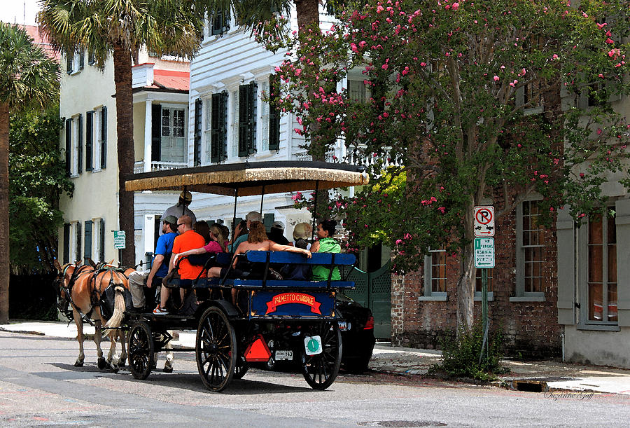 Horse Photograph - French Quarter - Charleston SC by Suzanne Gaff
