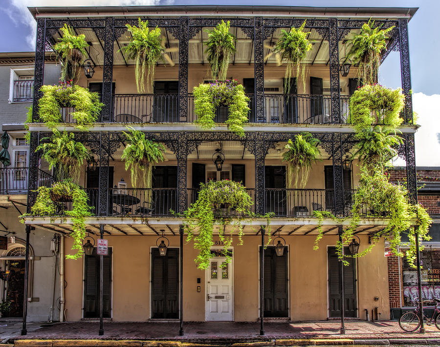 French Quarter Ferns Photograph by Diana Powell