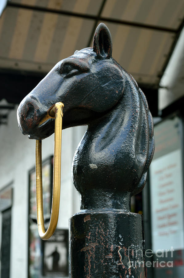 French Quarter Horsehead Post 2 Photograph by Alys Caviness-Gober
