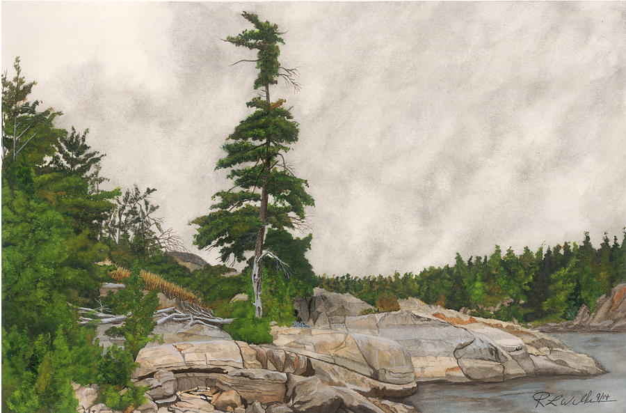 French River Jack Pine Painting by Ronald Wilkie