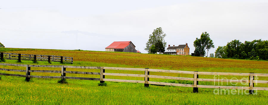 French Town Homestead Photograph by David Jackson