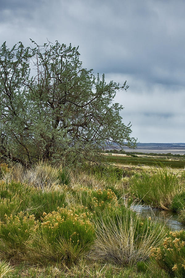 Frenchglen Photograph by Belinda Greb