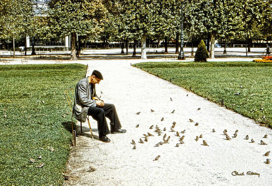 Frenchman Feeding the Sparrows Photograph by Chuck Staley