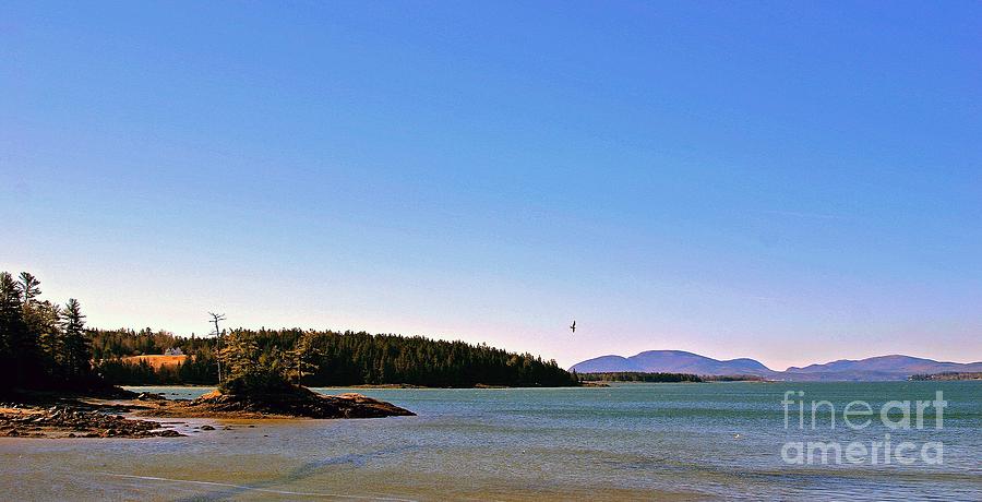 Frenchman's Bay Photograph by Laura Mace Rand - Fine Art America