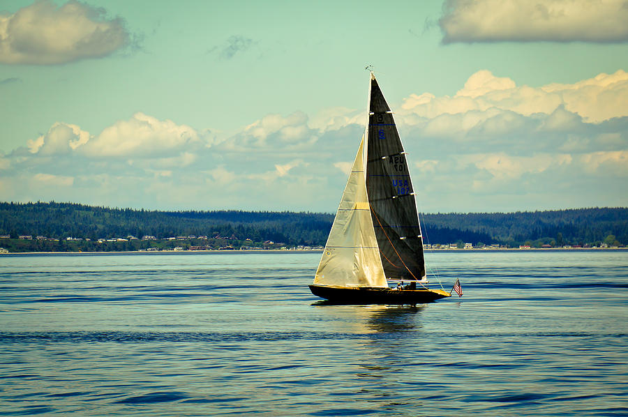 Frenzy Sails Photograph by Ronda Broatch