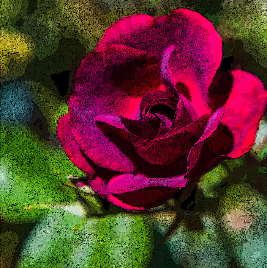Fresco Rose Photograph by Chris McKenna