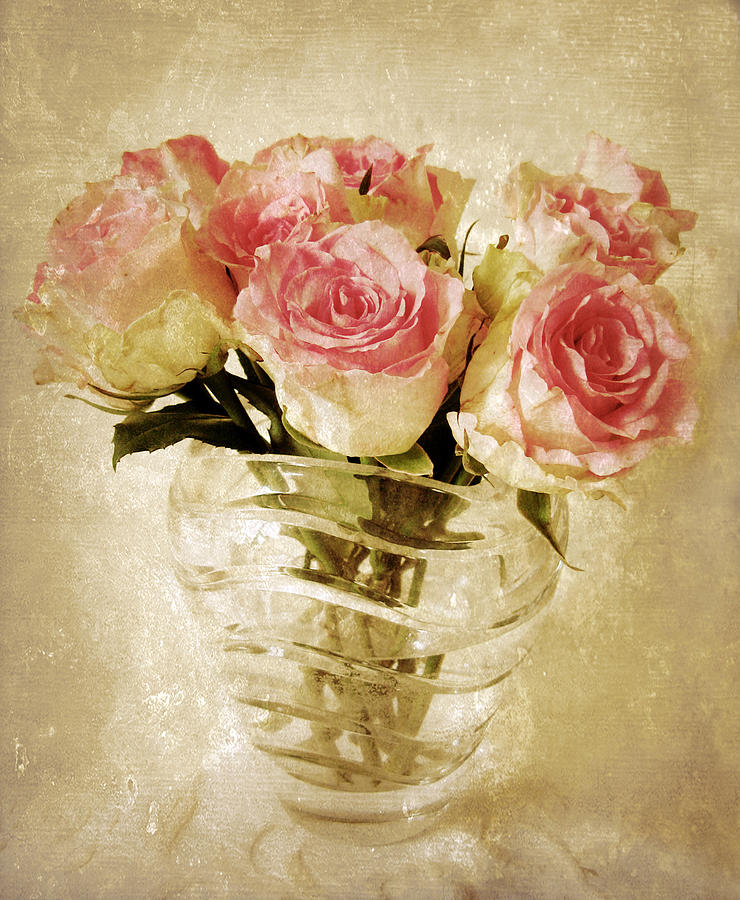 Rose Photograph - Fresco Roses by Jessica Jenney