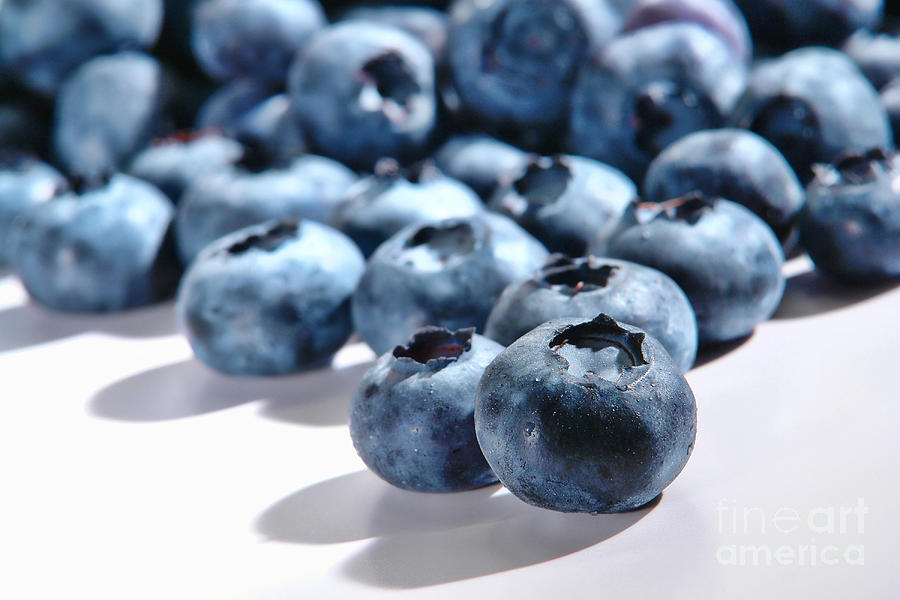 Fresh and Natural Blueberries Close Up on White Photograph by Olivier Le Queinec