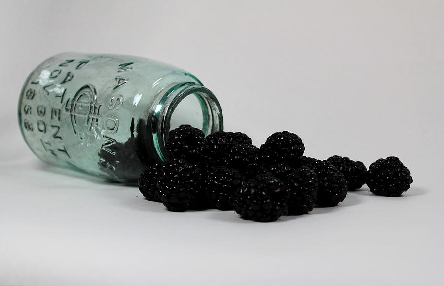 Fresh Blackberries Photograph by Carol Estes