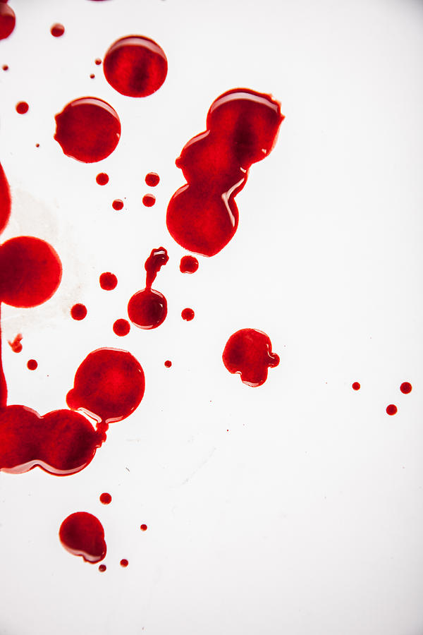 Fresh Blood Droplets Red on White Background 2 Photograph by Sjharmon
