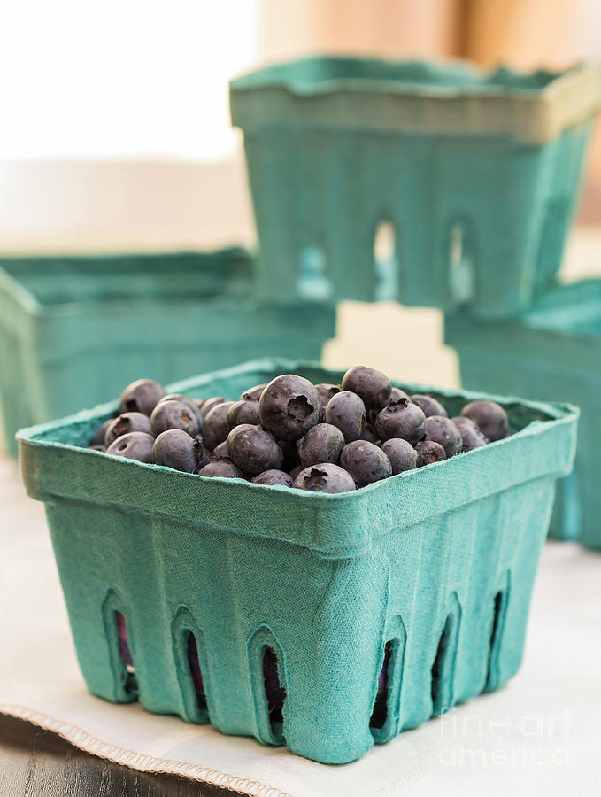 Blueberry Photograph - Fresh Blueberries by Edward Fielding