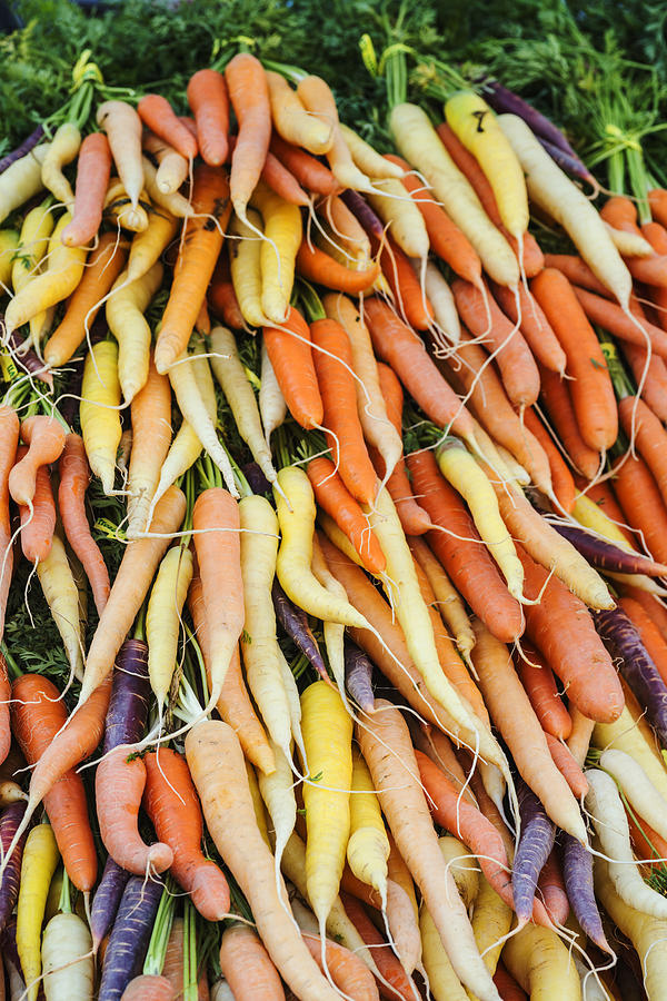 Carrot Photograph - Fresh carrots background by Vishwanath Bhat