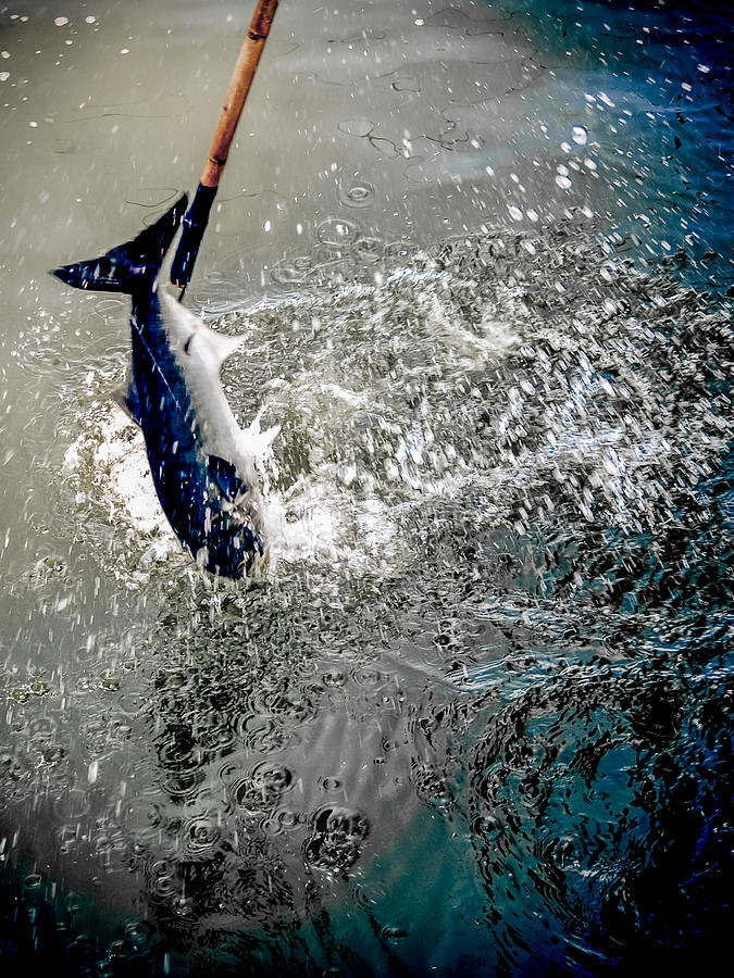Fresh Catch Photograph by Jim DeLillo