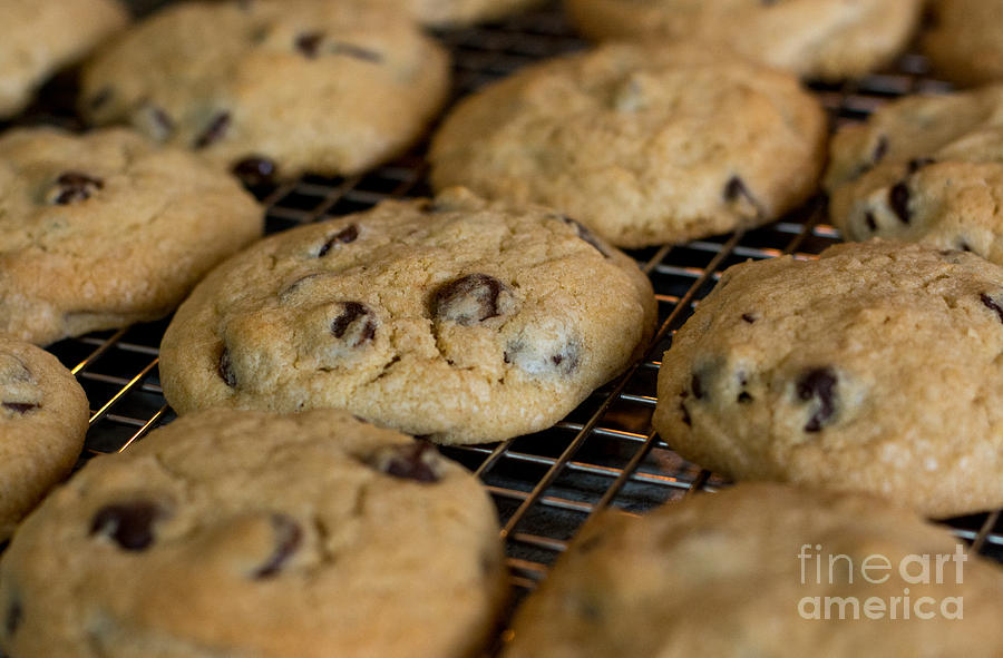 Fresh Chocolate Chip Cookies Photograph by Cheryl Baxter