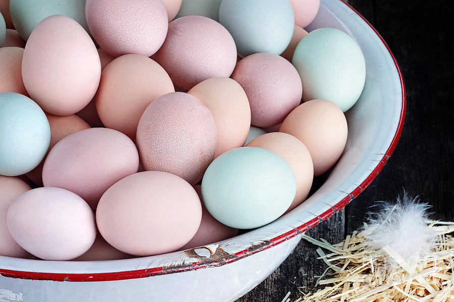 Fresh Colorful Farm Eggs Photograph by Stephanie Frey