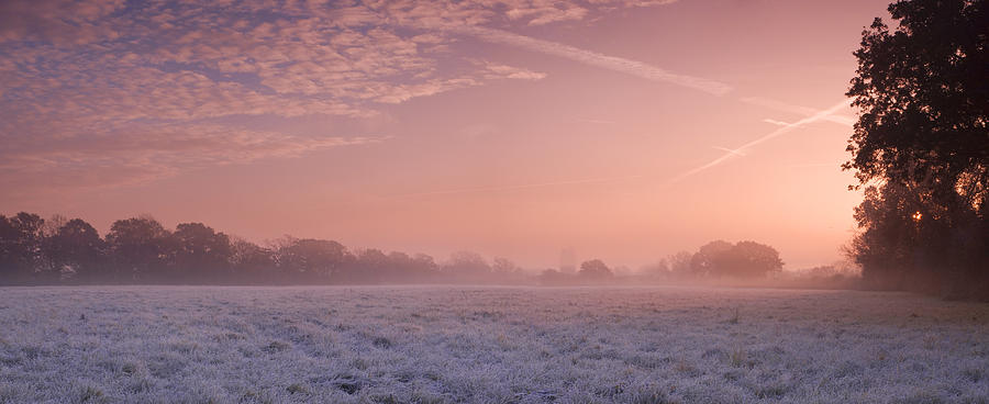 Fresh Cool Morning  Photograph by John Chivers