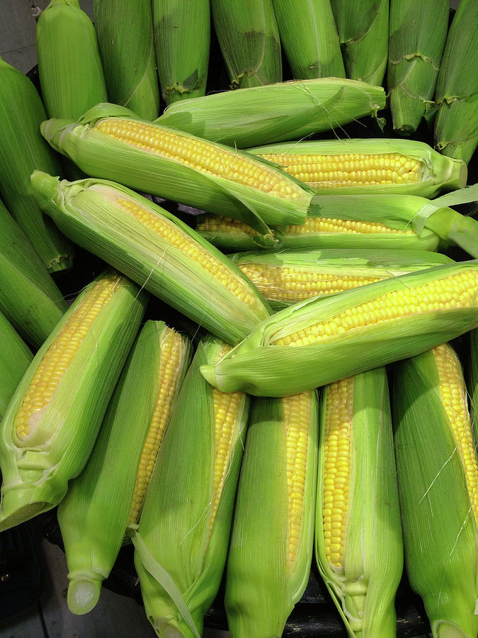 Fresh Corn Photograph by Digipub